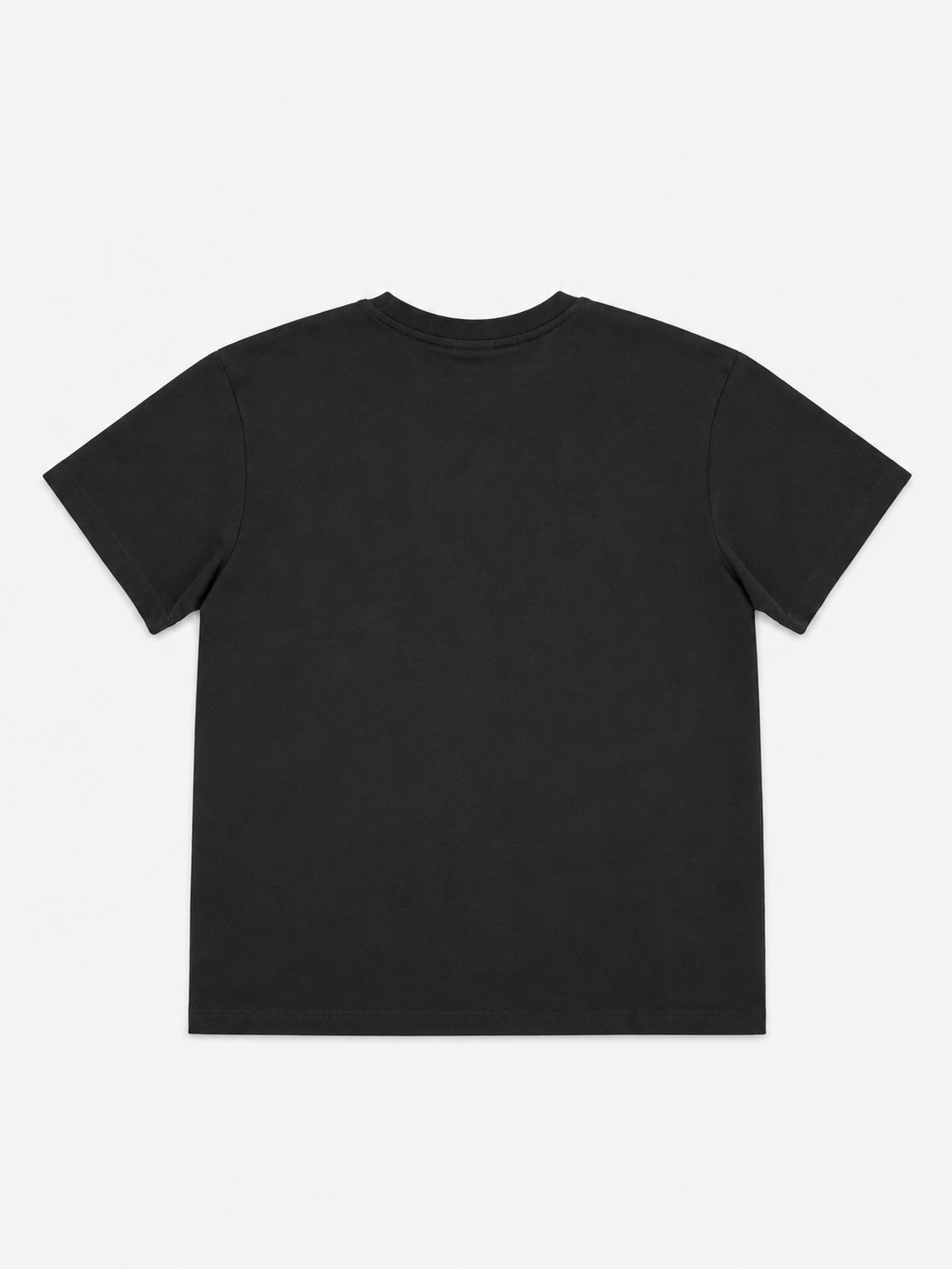 Graphic T-shirt “offline society”